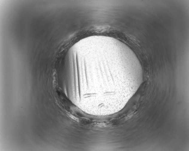 X0000052931349200508050819