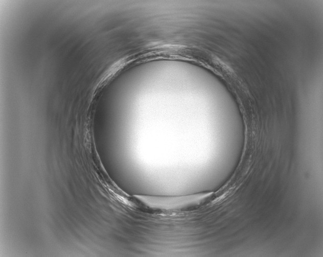 X0000052931354200508050818