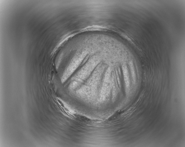 X0000052931355200508050818
