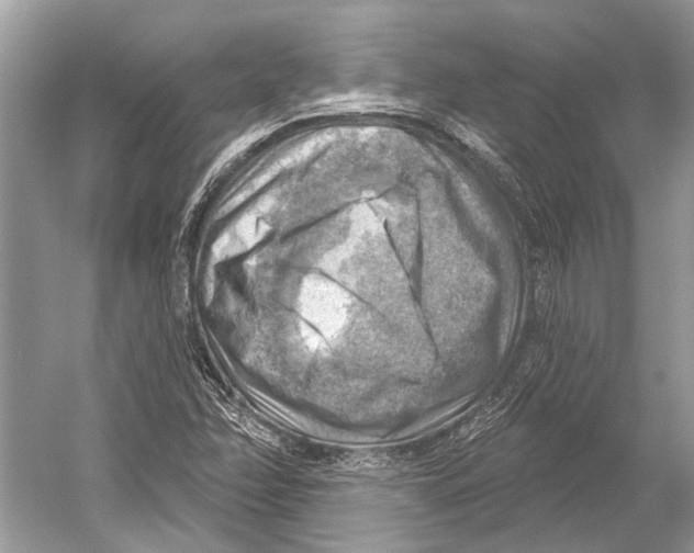 X0000052931358200508050818