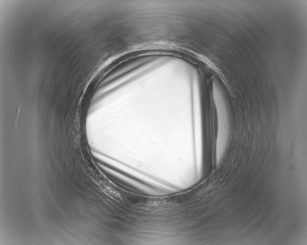 X0000052931364200508050818