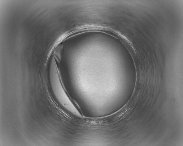 X0000052931365200508050818