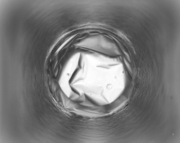 X0000052931368200508050818