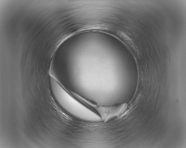 X0000052931369200508050818