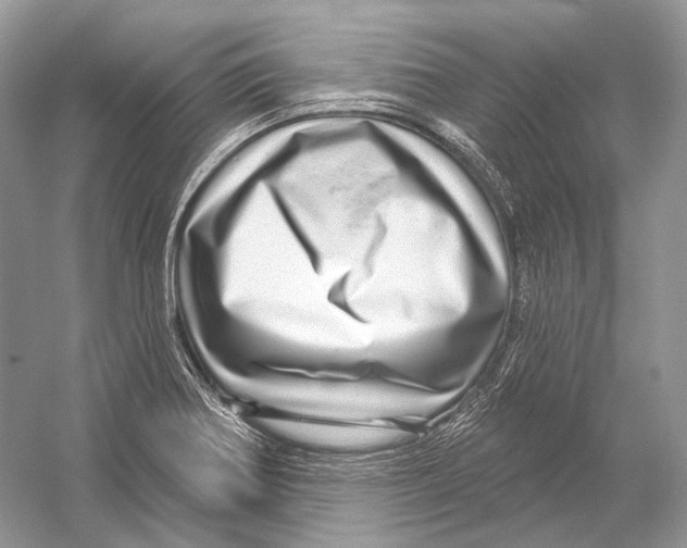 X0000052931370200508050818