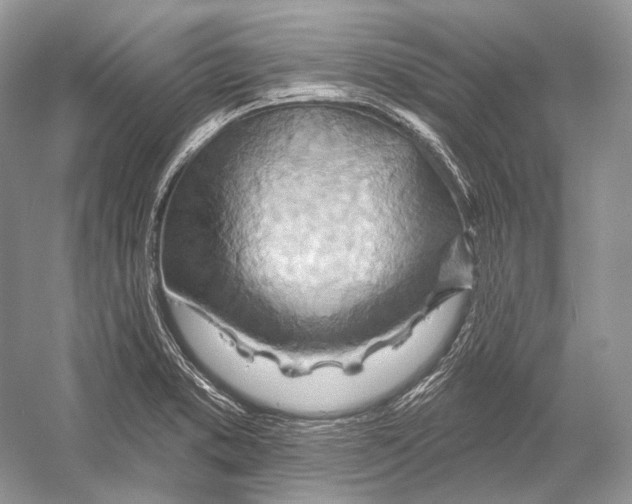 X0000052931373200508050818