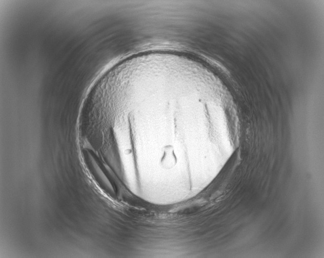 X0000052931375200508050818