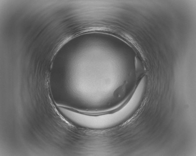 X0000052931377200508050818