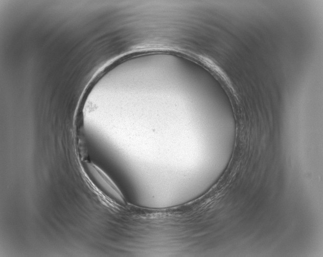 X0000052931380200508050818