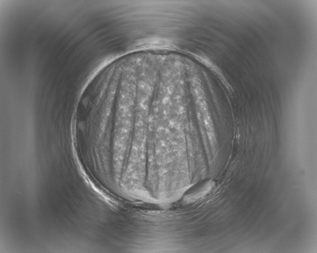 X0000052931383200508050818
