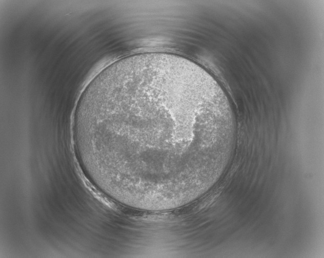 X0000052931386200508050818