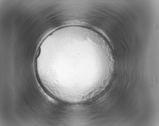 X0000052931387200508050818