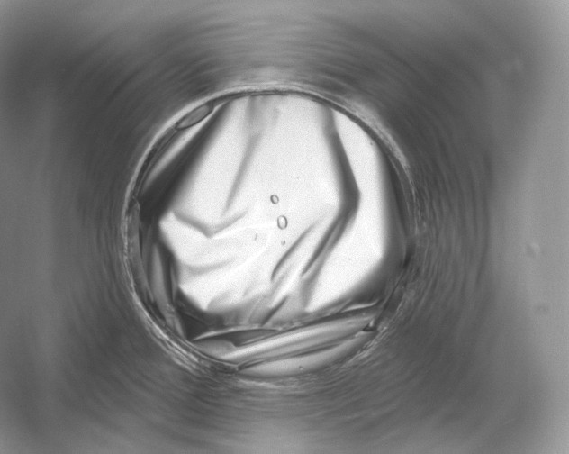 X0000052931388200508050818