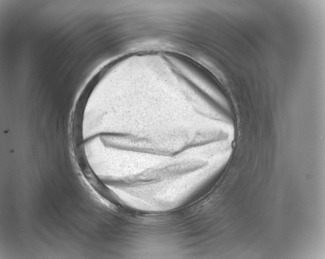 X0000052931392200508050818
