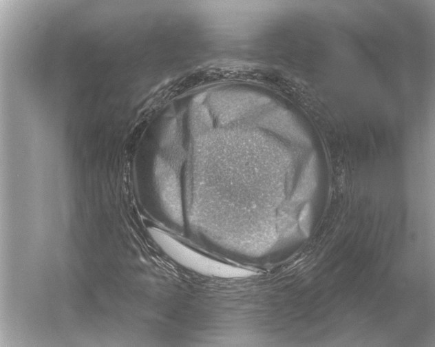 X0000052931397200508050817