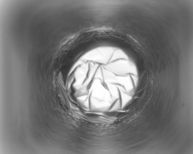 X0000052931398200508050817