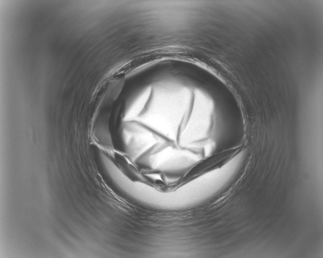 X0000052931402200508050817