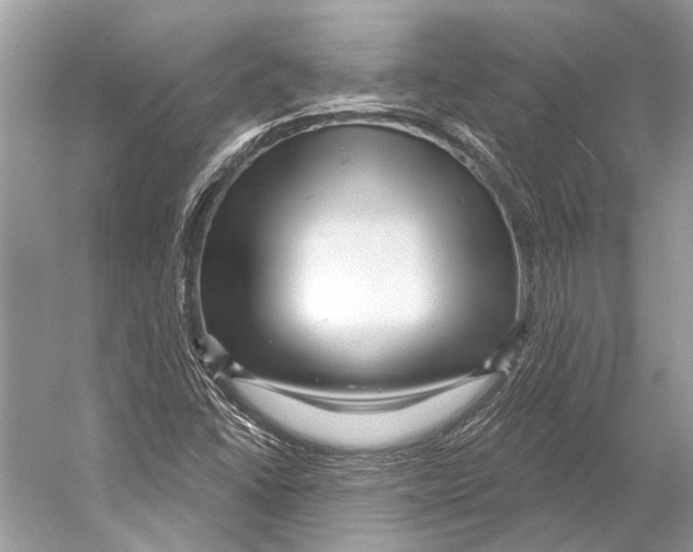 X0000052931406200508050817