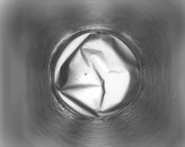 X0000052931408200508050817