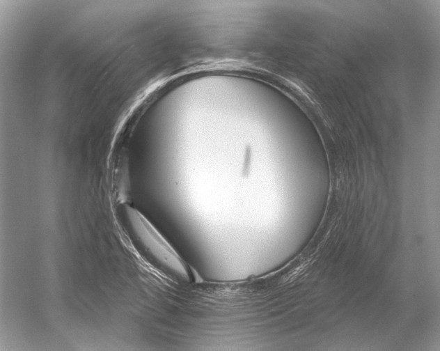 X0000052931414200508050817