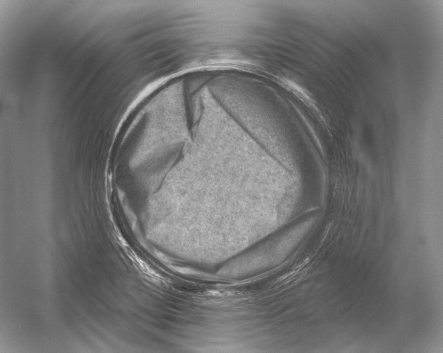 X0000052931420200508050817