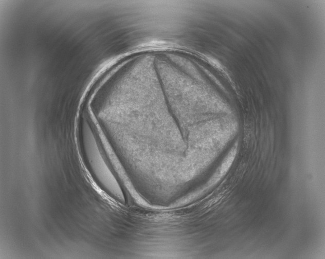 X0000052931421200508050817