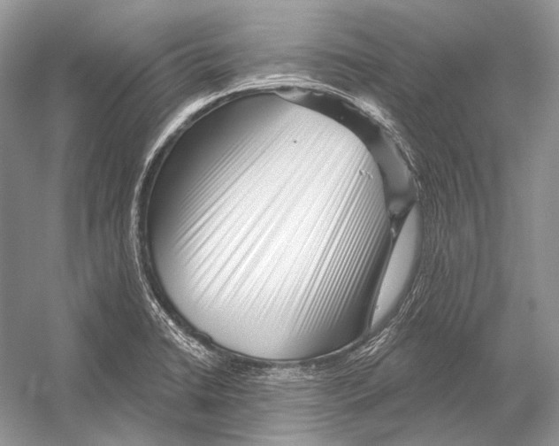 X0000052931422200508050818