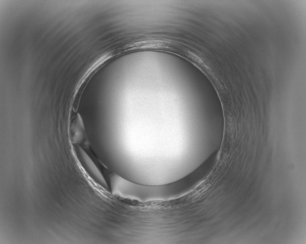 X0000052931426200508050818
