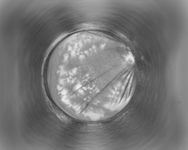 X0000052931427200508050818