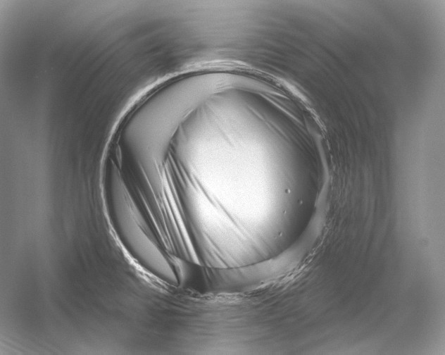 X0000052931430200508050818