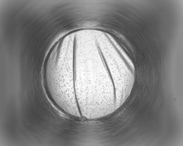 X0000052931432200508050818