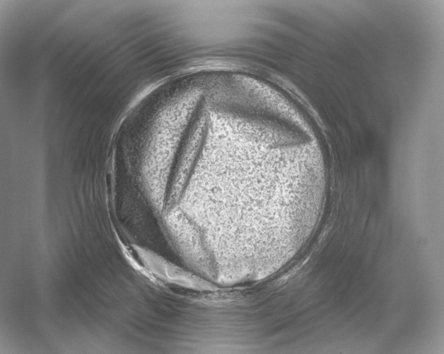X0000052931433200508050818
