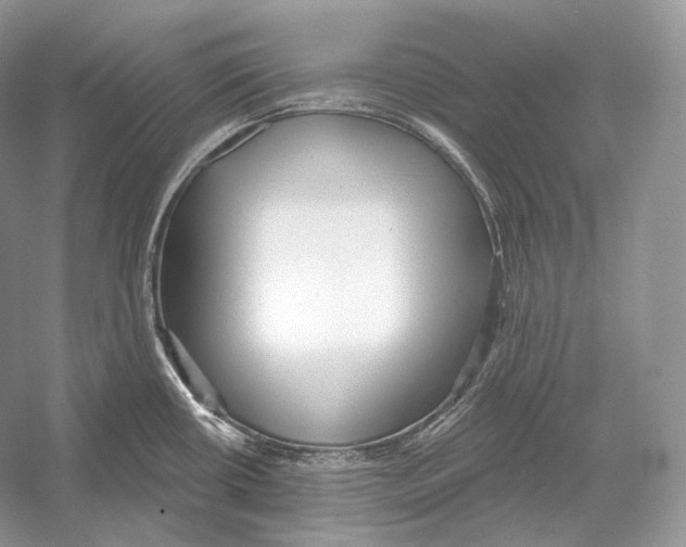 X0000052931434200508050818