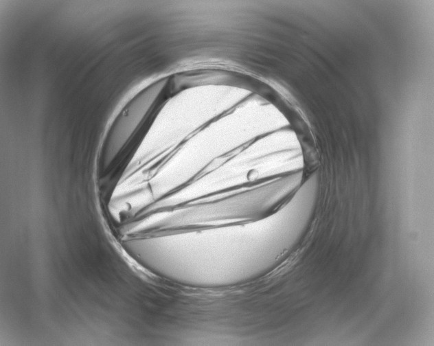 X0000052931438200508050818