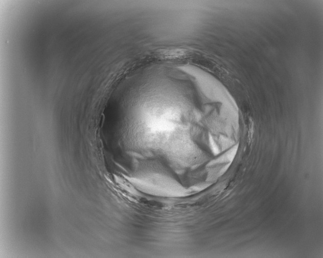 X0000052931441200508050817