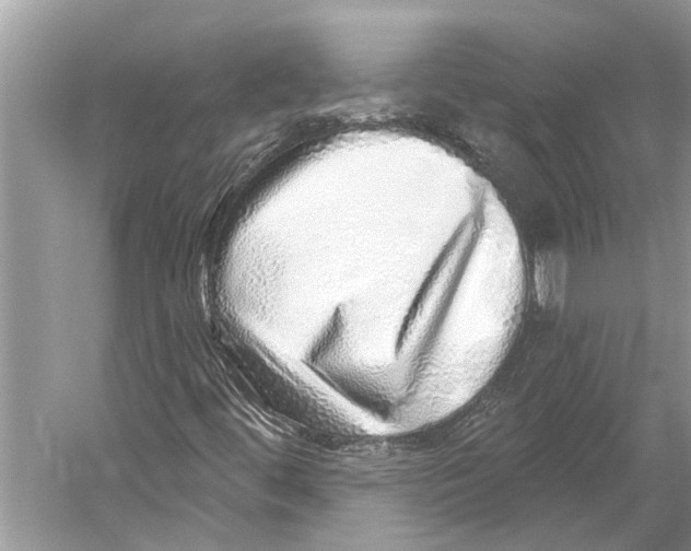 X0000052931444200508050817