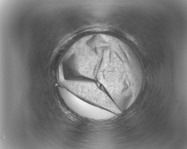 X0000052931448200508050817