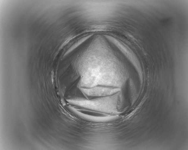 X0000052931449200508050817