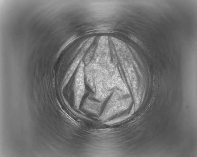 X0000052931450200508050817