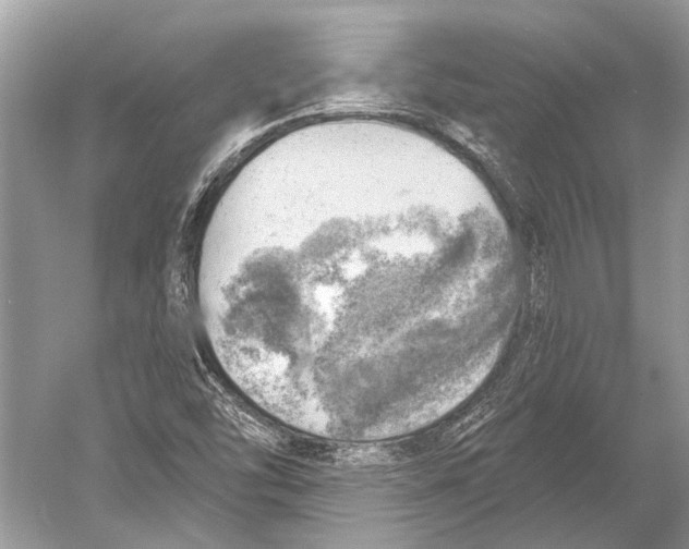X0000052931454200508050817