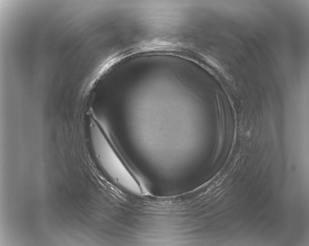 X0000052931455200508050817