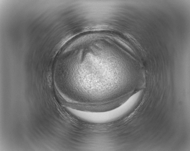 X0000052931457200508050817