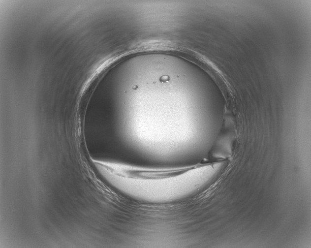X0000052931461200508050817