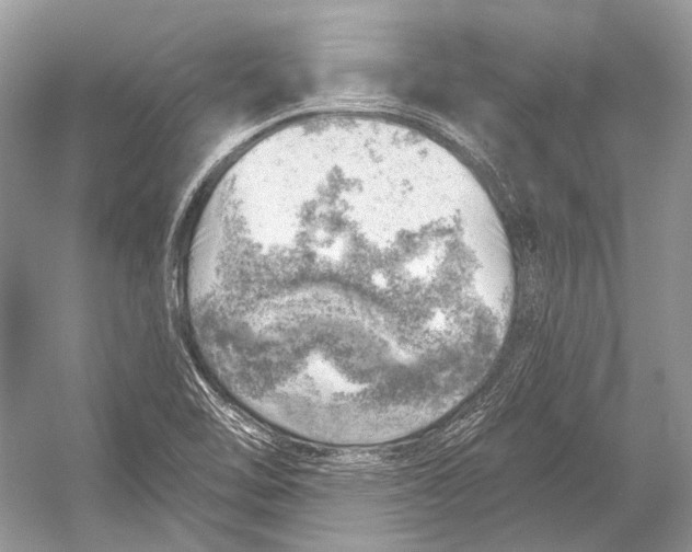 X0000052931462200508050817