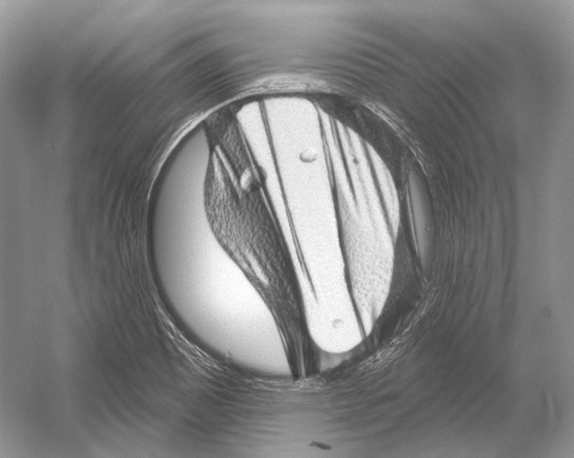 X0000052931465200508050817