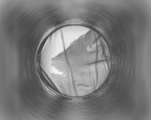 X0000052931466200508050817