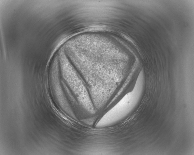 X0000052931467200508050817