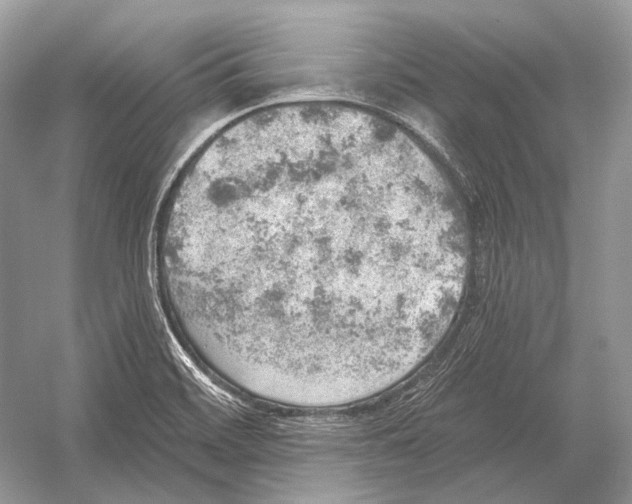 X0000052931468200508050817