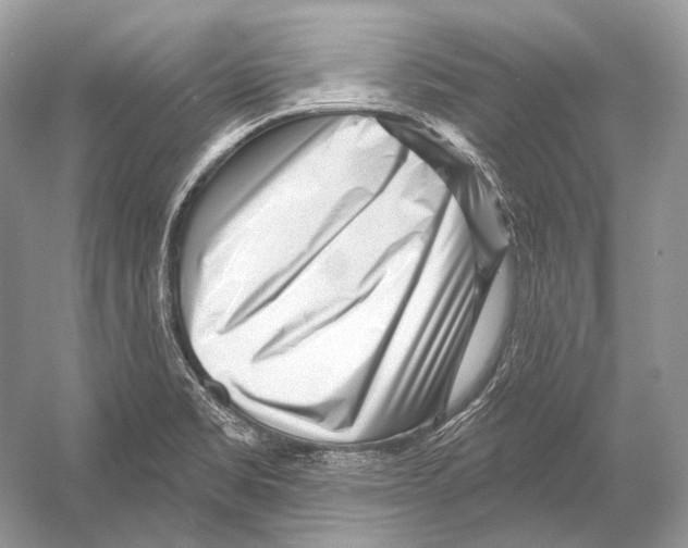 X0000052931469200508050817
