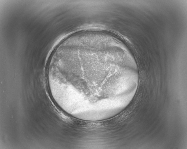 X0000052931470200508050817